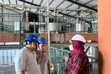 Mengapa Tepung Tapioka Adalah Pilihan Terbaik untuk Pelaku Usaha Tepung Tapioka